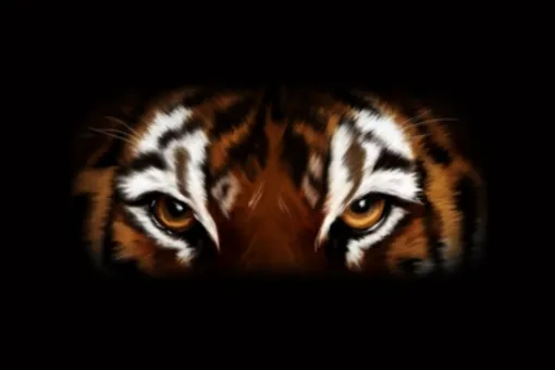 Site Self Defense Femme Lyon, Lyon, PWTSRA