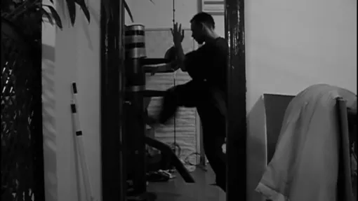 WING TSUN - ESKRIMA - SELF DEFENSE, Lyon, PWTSRA