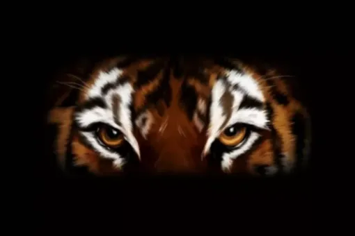 COURS KUNG FU LYON 7, Lyon, PWTSRA