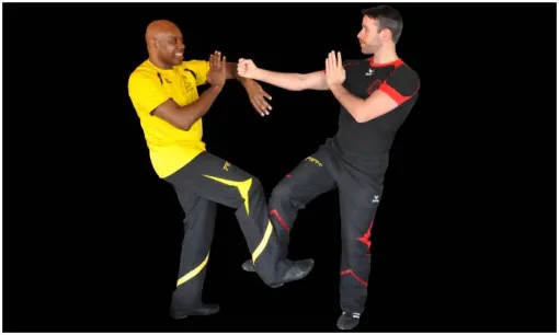 APPRENDRE EN FAISANT DES COURS DE WINGCHUN A LYON, Lyon, PWTSRA
