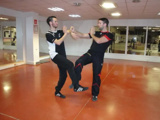 Stages Programmes le 17 et 18 Décembre 2016, Lyon, PWTSRA