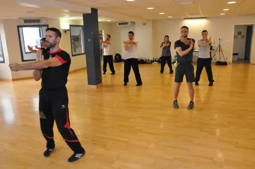 Stages Prg 1 à 5 le 26 et 27 Mars, Lyon, PWTSRA