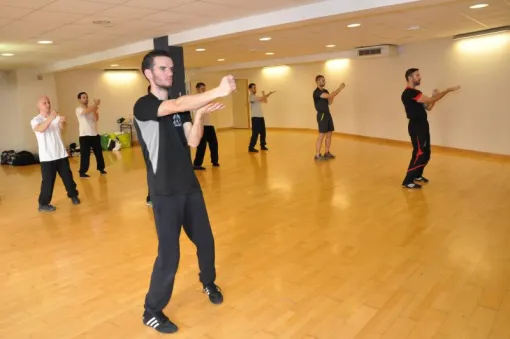 Stage programmes le 9 et le 10 Janvier, Lyon, PWTSRA