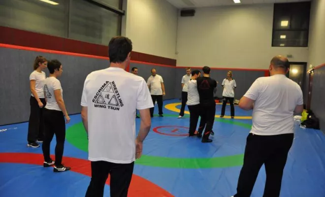 Cours Wing Tsun Lyon ou Wing Chun Lyon 2016, Lyon, PWTSRA