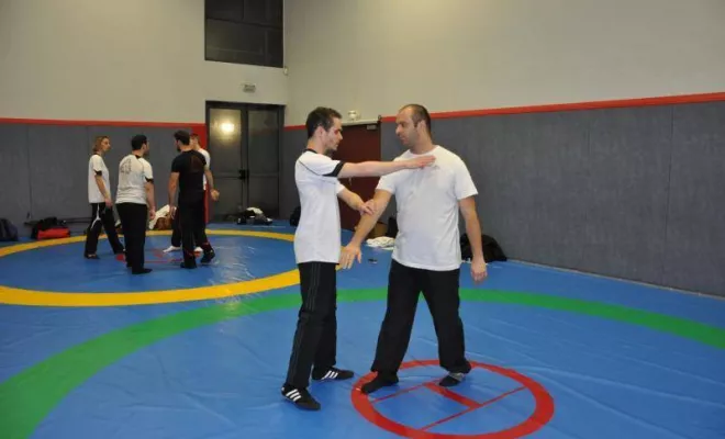 Cours Wing Tsun Lyon ou Wing Chun Lyon 2016, Lyon, PWTSRA