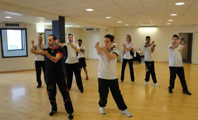 Cours Wing Tsun Lyon / Wing Chun 2014, Lyon, PWTSRA