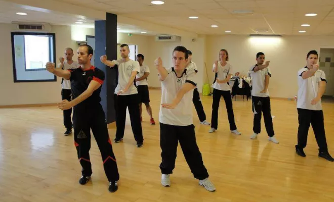 Cours Wing Tsun Lyon / Wing Chun 2014, Lyon, PWTSRA