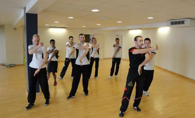 Cours Wing Tsun Lyon / Wing Chun 2014, Lyon, PWTSRA