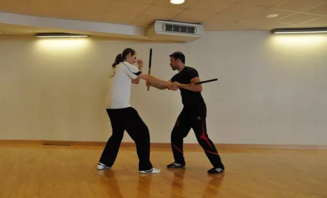 Eskrima Lyon Avril 2016, Lyon, PWTSRA