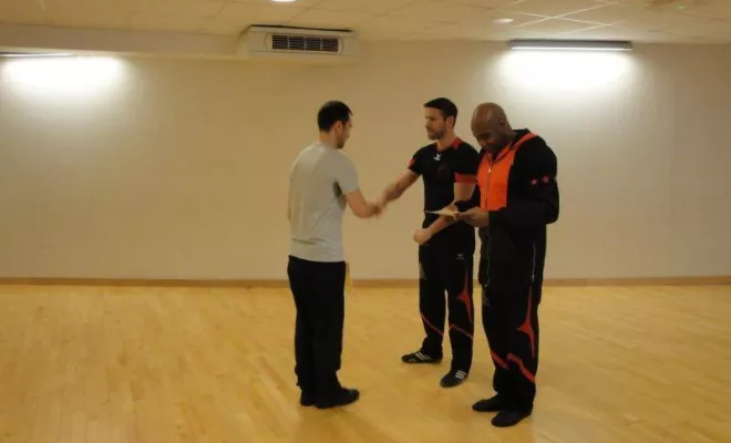 Passage de grades Janvier 2016, Lyon, PWTSRA