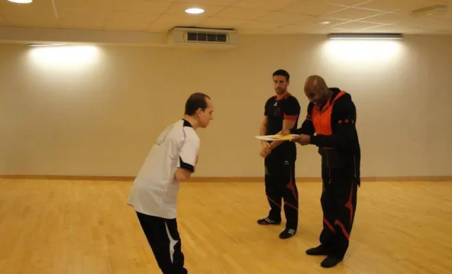 Passage de grades Janvier 2016, Lyon, PWTSRA