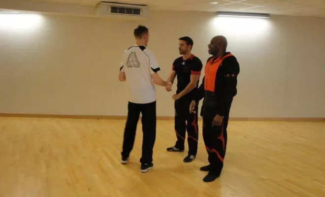 Passage de grades Janvier 2016, Lyon, PWTSRA