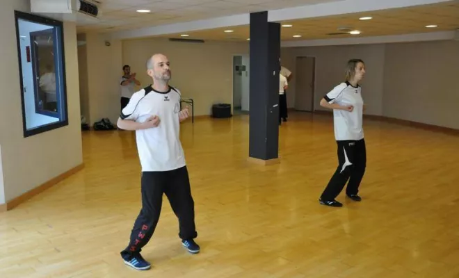 Passage grades Juin 2016, Lyon, PWTSRA