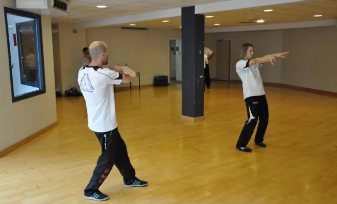 Passage grades Juin 2016, Lyon, PWTSRA