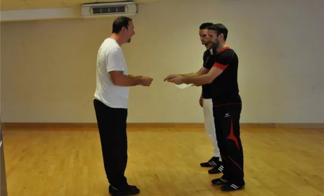 Passage grades Juin 2016, Lyon, PWTSRA