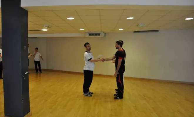 Passage grades Juin 2016, Lyon, PWTSRA