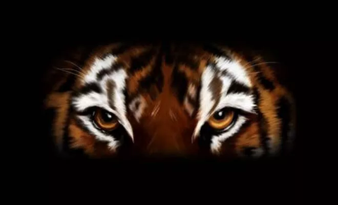 Professeurs et assistants, Lyon, PWTSRA