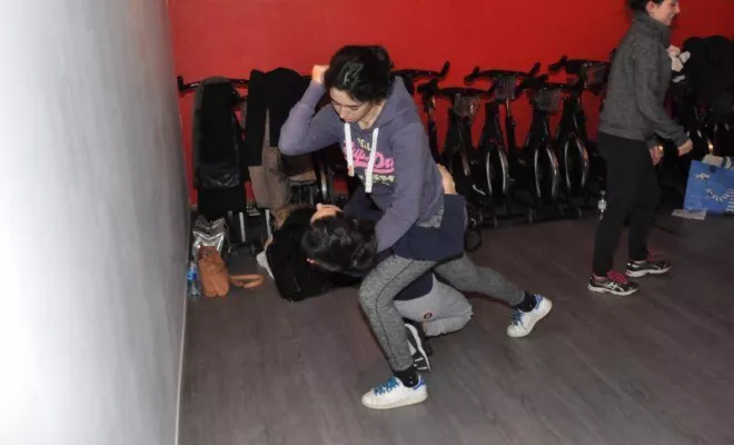 Stage Self Défense Femme Lyon 22 Janvier 2017, Lyon, PWTSRA