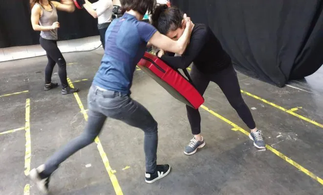 Stage Self défense Féminine 11 Janvier 2020, Lyon, PWTSRA