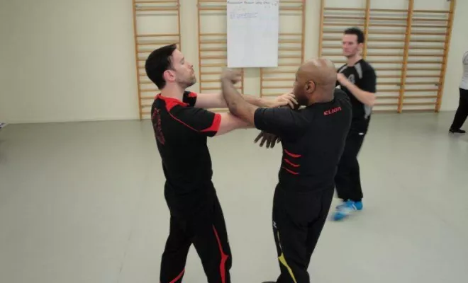 Stage Instructeur Wing Chun Lyon Mars 2018, Lyon, PWTSRA