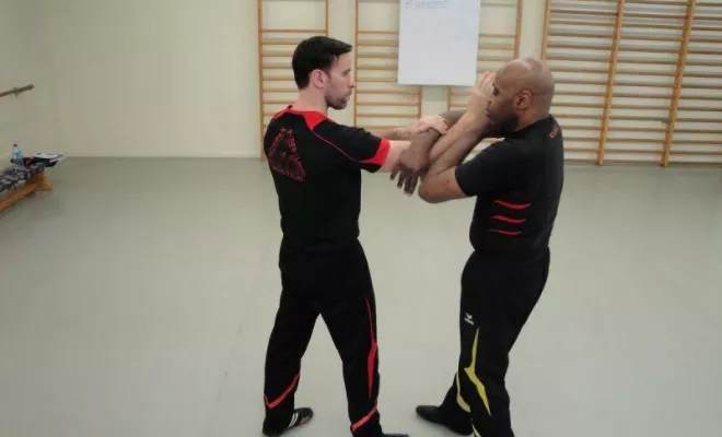 Stage Instructeur Wing Chun Lyon Mars 2018, Lyon, PWTSRA