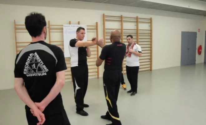 Stage Instructeur Wing Chun Lyon Mars 2018, Lyon, PWTSRA