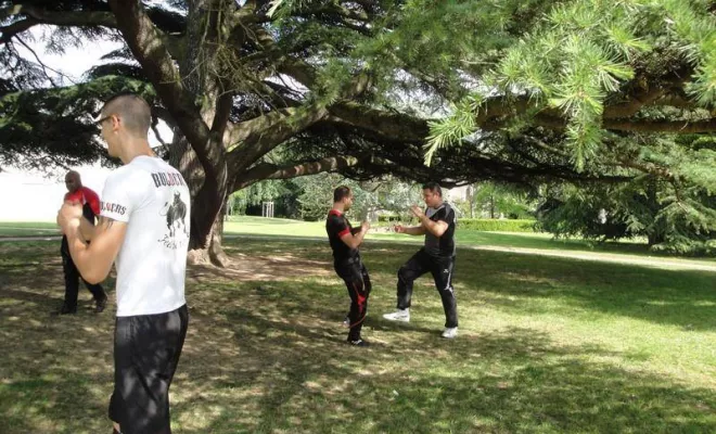 Stage Mini Groupe Wing Tsun Lyon Mai 2015, Lyon, PWTSRA