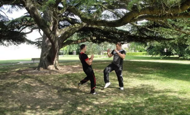 Stage Mini Groupe Wing Tsun Lyon Mai 2015, Lyon, PWTSRA