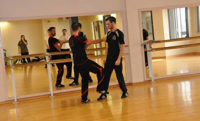 Stage Prg 1 et 2 Novembre 2015, Lyon, PWTSRA