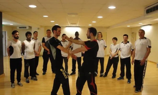 Stage Wing Tsun Lyon 2ème degré Avril 2015, Lyon, PWTSRA