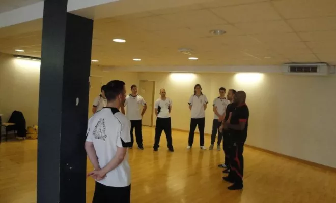 Stage Wing Tsun Lyon 2ème degré Avril 2015, Lyon, PWTSRA