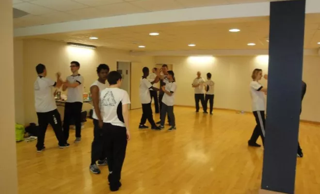 Stage Wing Tsun Lyon 2ème degré Avril 2015, Lyon, PWTSRA