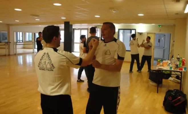 Stage Wing Tsun Lyon 2ème degré Avril 2015, Lyon, PWTSRA