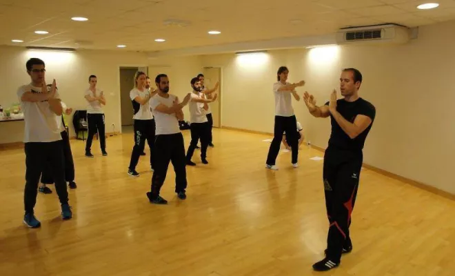 Stage Wing Tsun 1er degré 2014, Lyon, PWTSRA