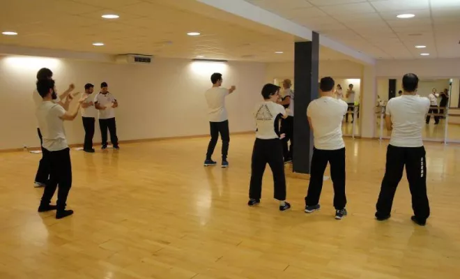 Stage Wing Tsun 1er degré 2014, Lyon, PWTSRA