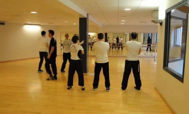 Stage Wing Tsun 1er degré 2014, Lyon, PWTSRA