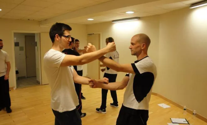 Stage Wing Tsun 1er degré 2014, Lyon, PWTSRA
