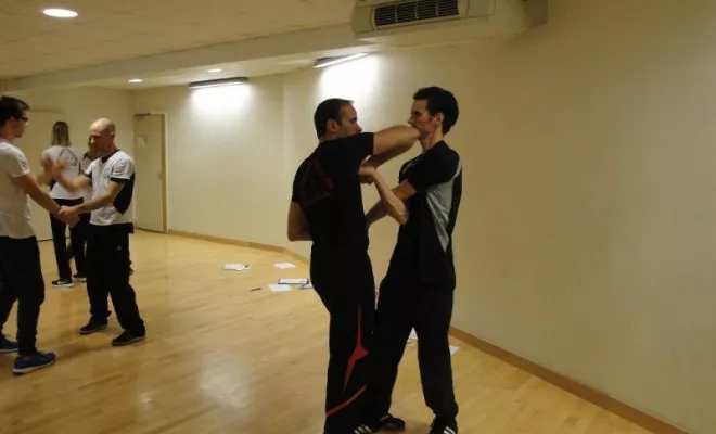 Stage Wing Tsun 1er degré 2014, Lyon, PWTSRA