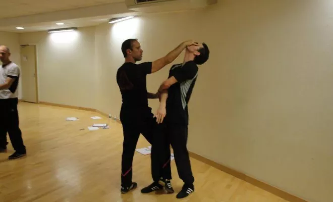 Stage Wing Tsun 1er degré 2014, Lyon, PWTSRA