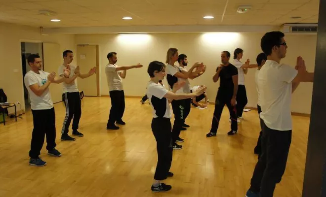 Stage Wing Tsun 1er degré 2014, Lyon, PWTSRA