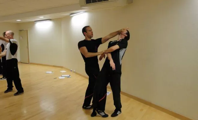 Stage Wing Tsun 1er degré 2014, Lyon, PWTSRA