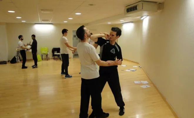 Stage Wing Tsun 1er degré 2014, Lyon, PWTSRA