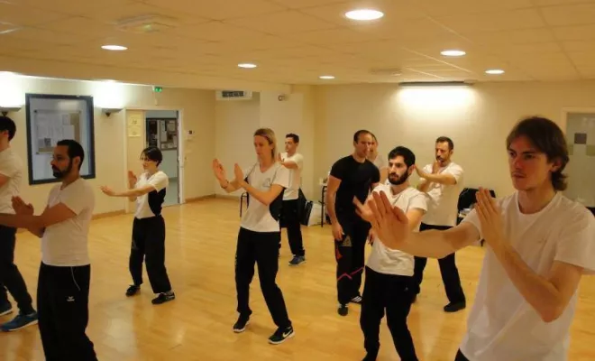 Stage Wing Tsun 1er degré 2014, Lyon, PWTSRA