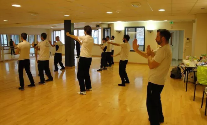 Stage Wing Tsun 1er degré 2014, Lyon, PWTSRA