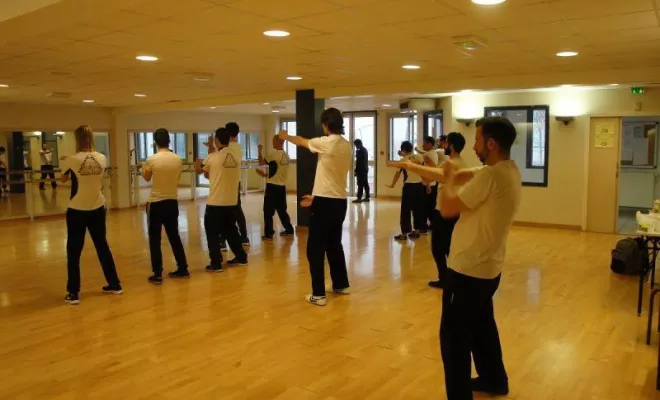 Stage Wing Tsun 1er degré 2014, Lyon, PWTSRA