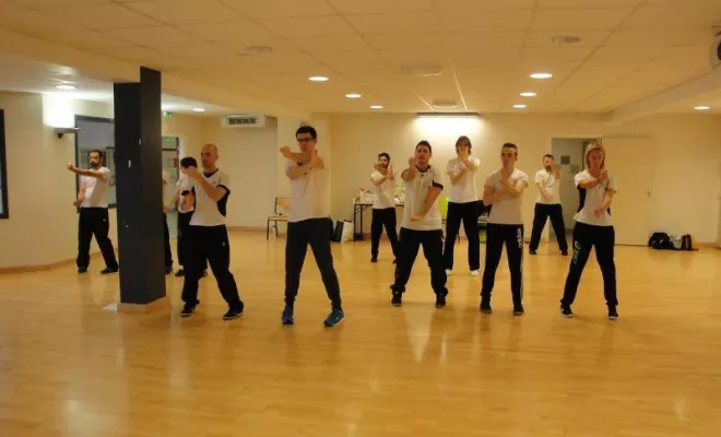 Stage Wing Tsun 1er degré 2014, Lyon, PWTSRA