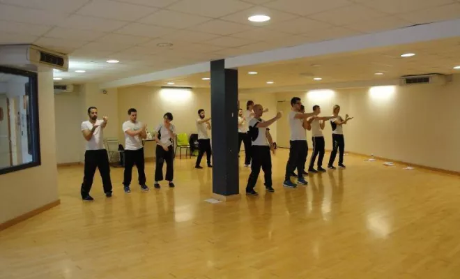 Stage Wing Tsun 1er degré 2014, Lyon, PWTSRA