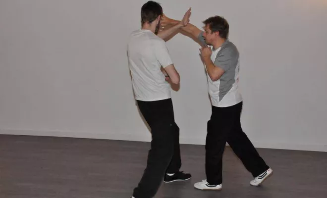 Wingtsun Lyon Prg 1 à 6 Février 2017, Lyon, PWTSRA