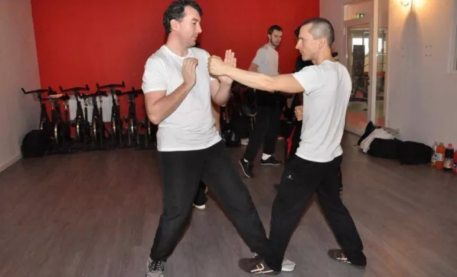 Wingtsun Lyon Prg 1 à 6 Février 2017, Lyon, PWTSRA