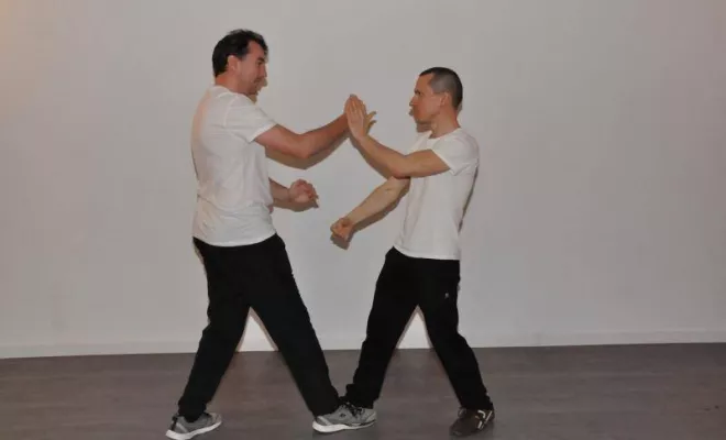 Wingtsun Lyon Prg 1 à 6 Février 2017, Lyon, PWTSRA